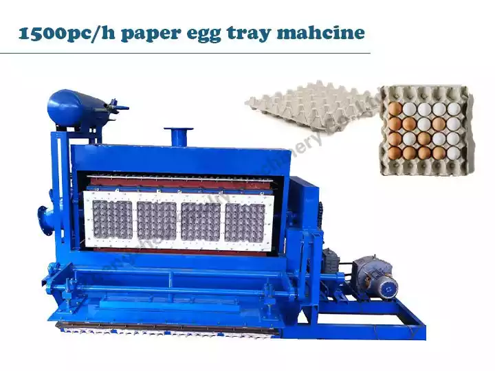 Egg tray forming machine