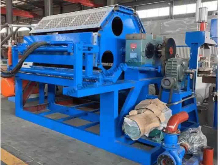 Egg Tray Making Machine Shipped to the Philippines