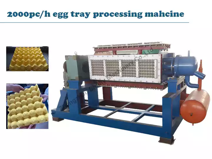2000pc/h pulp egg tray machine