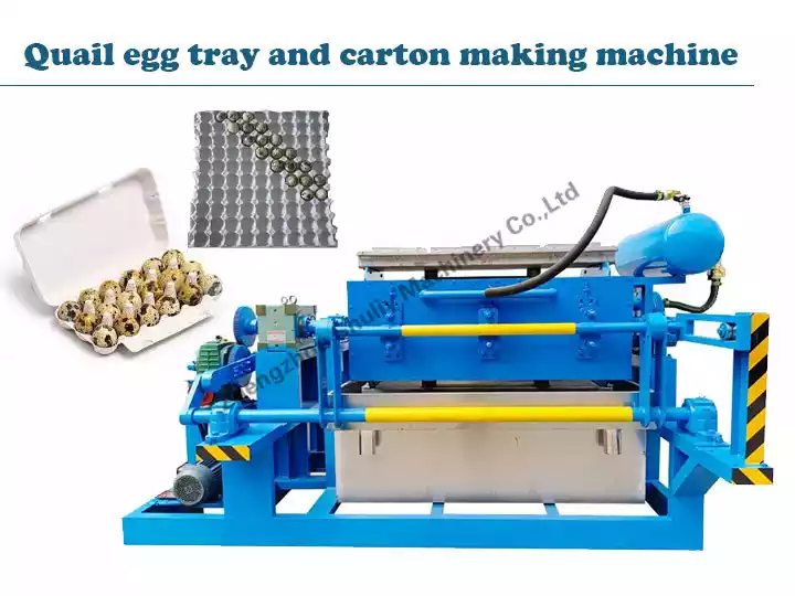Quail egg tray machine