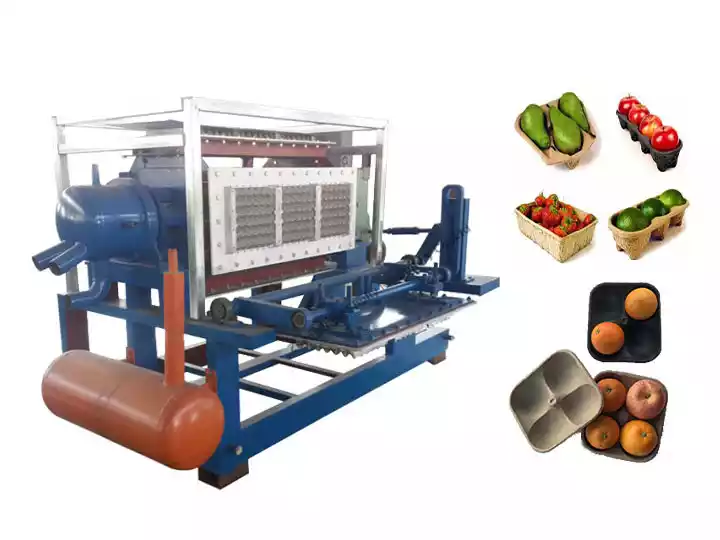 Egg Tray Making Machine Sold to Italy