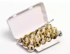 quail egg boxes