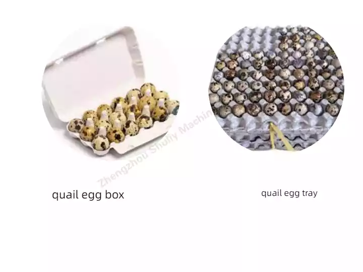 Quail egg tray and box